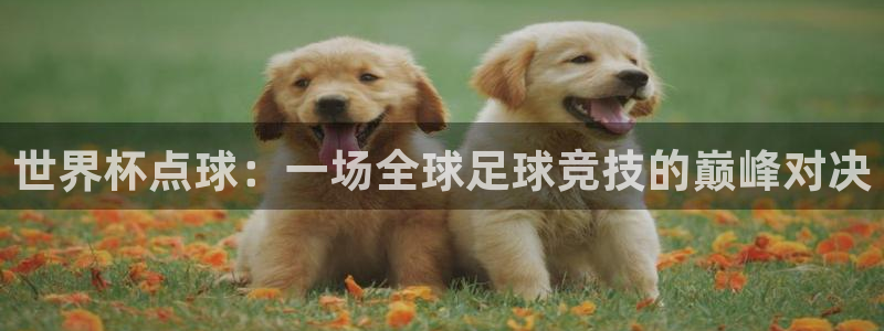 世界杯小组赛赛程:世界杯点球:一场全球足球竞技的巅峰对决