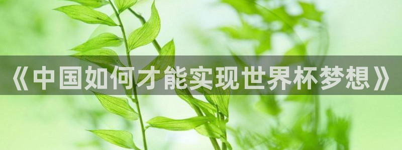 世界直播:《中国如何才能实现世界杯梦想》