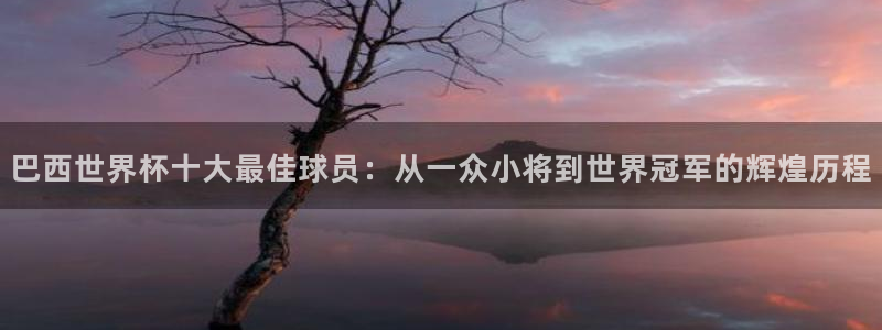 澳门世界杯直播:巴西世界杯十大最佳球员:从一众小将到世界冠军的辉煌历程