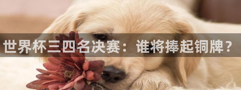 世界杯预选赛亚洲区赛程:世界杯三四名决赛:谁将捧起铜牌?